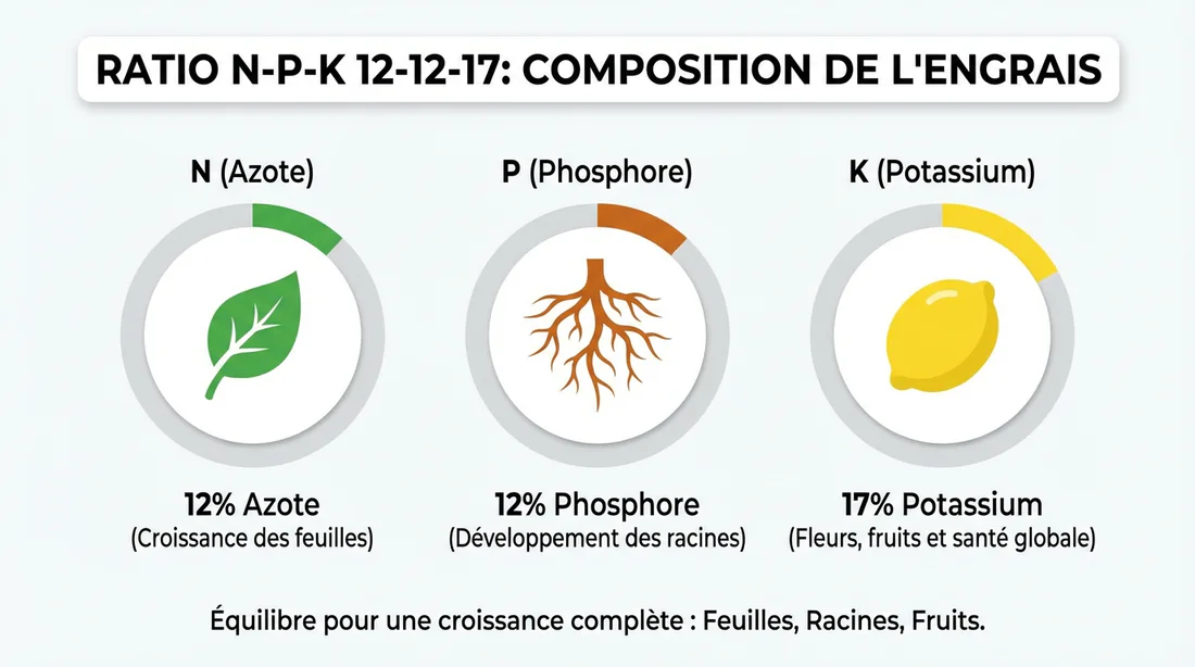 Schéma NPK 12-12-17 de la composition de l'engrais bleu universel